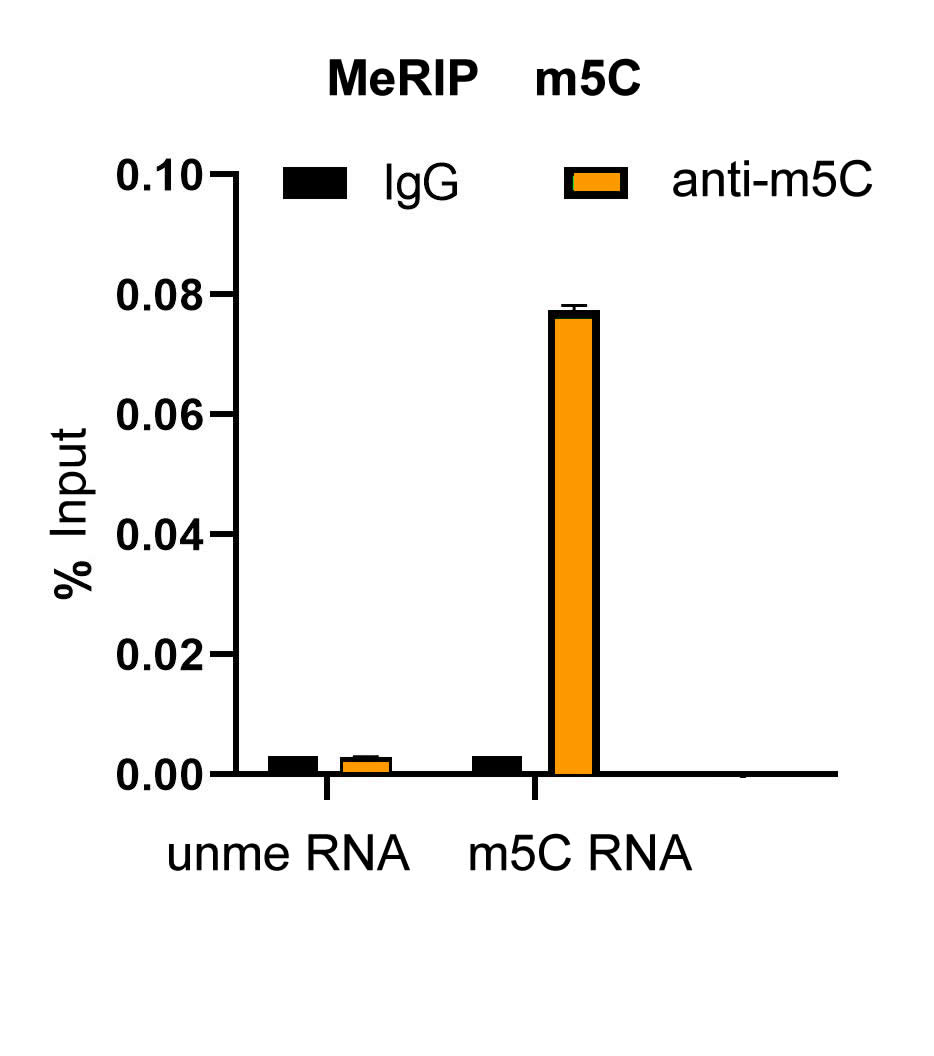 MeRIP was performed using anti-m5C antibody and Normal Mouse IgG. 