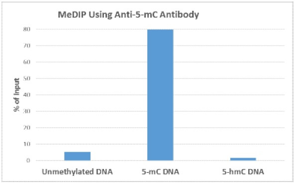 MeDIP - Anti-5-methylcytosine (5-mC) antibody