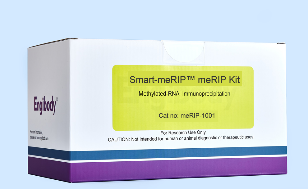 meRIP Kit