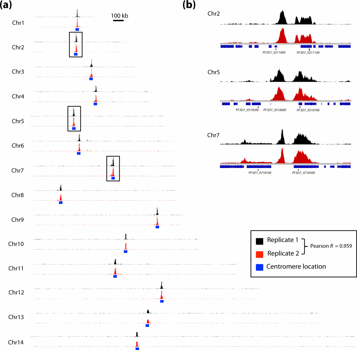 ChIP-Sequence