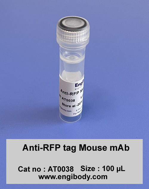 Anti-RFP tag Mouse mAb