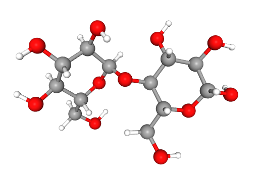 Maltose for Elution