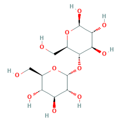 Maltose for Elution