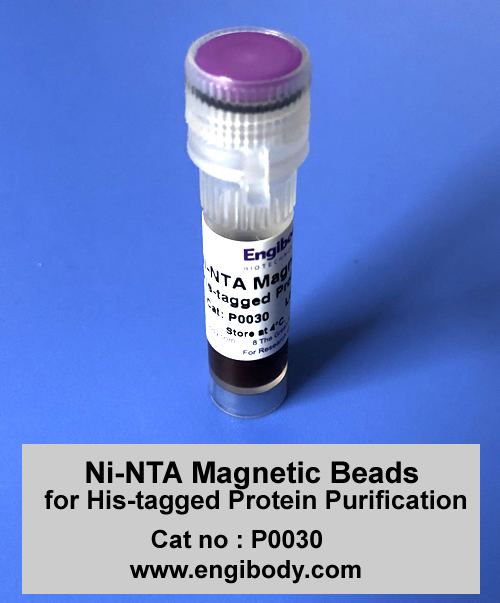 Ni-NTA Magnetic Beads for His-tagged Protein Purification