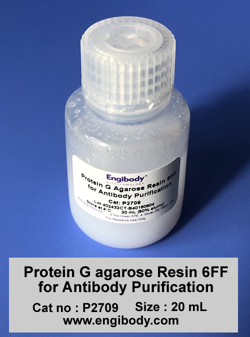 Protein G agarose Resin 6FF