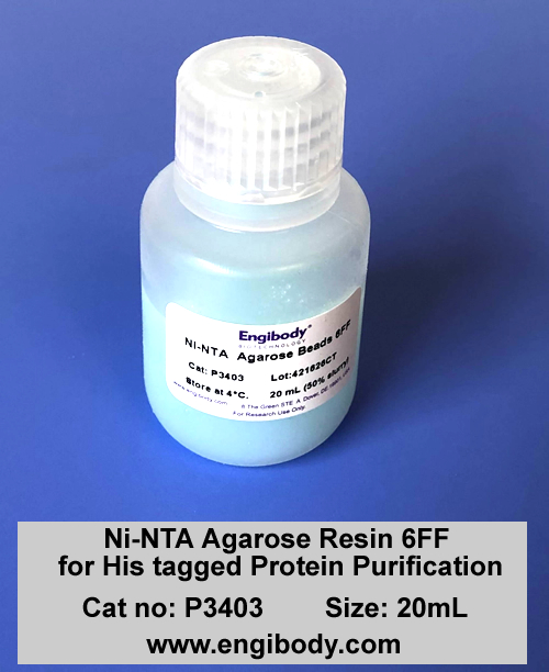 Ni-NTA Agarose Resin 6FF for His tagged Protein Purification