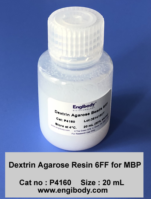 Dextrin Agarose Resin 6FF for MBP