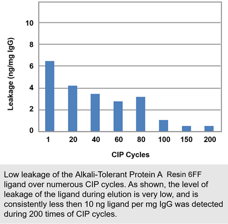 Alkali-Tolerant Protein A agarose Resin 6FF for Antibody Purification