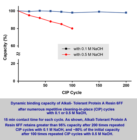 Alkali-Tolerant Protein A agarose Resin 6FF for Antibody Purification