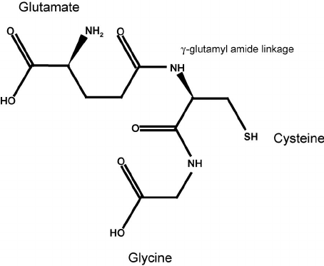 Glutathione (Reduced GSH) for Elution