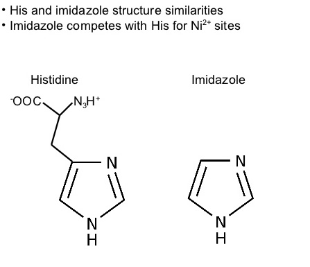 Imidazole for Elution