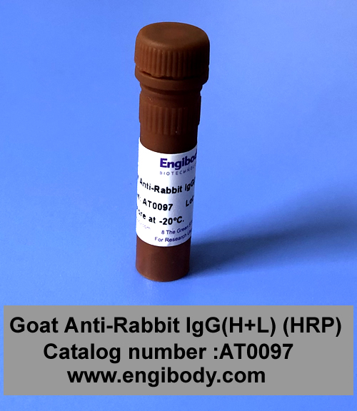 Goat Anti-Rabbit IgG(H+L) (HRP)