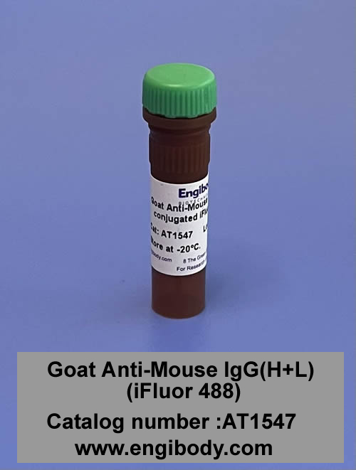 Goat Anti-Mouse IgG (iFluor 488)