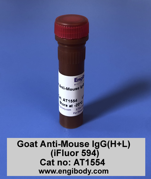 Goat Anti-Mouse IgG(H+L) (iFluor 594)