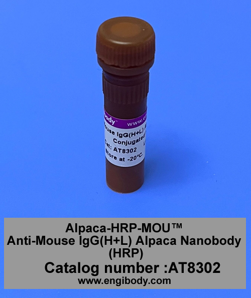 Alpaca-HRP-MOU™ Anti-Mouse IgG(H+L) Alpaca Nanobody (HRP)