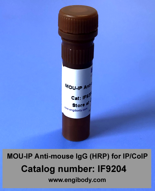 MOU-IP Anti-mouse IgG for IP (HRP)