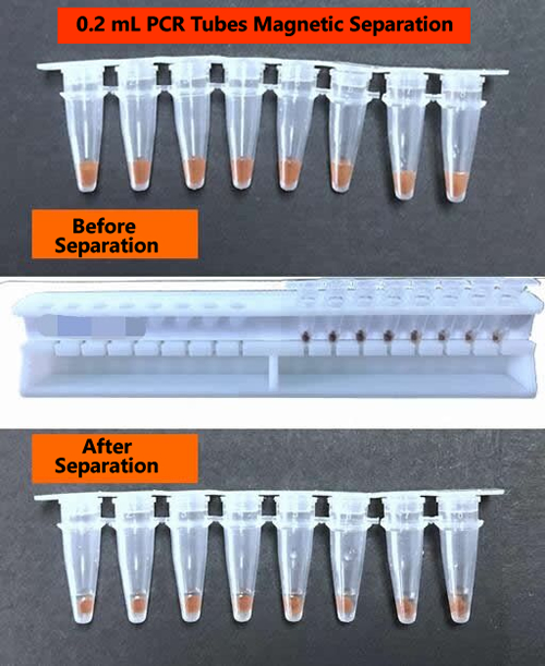 0.2mL-PCR Tube Magnetic Separation Rack 