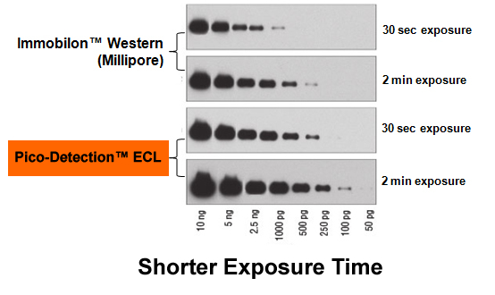 ECL