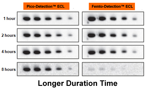 ECL