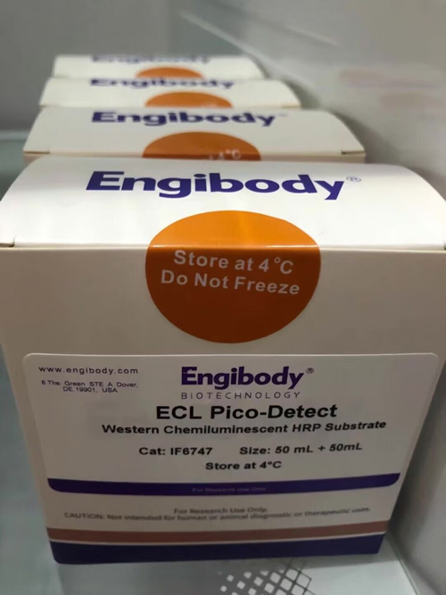 ECL Pico-Detection