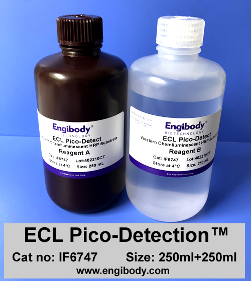 ECL Pico-Detection