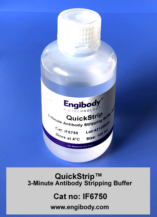 QuickStrip 3-Minute Antibody Stripping Buffer (Strong)