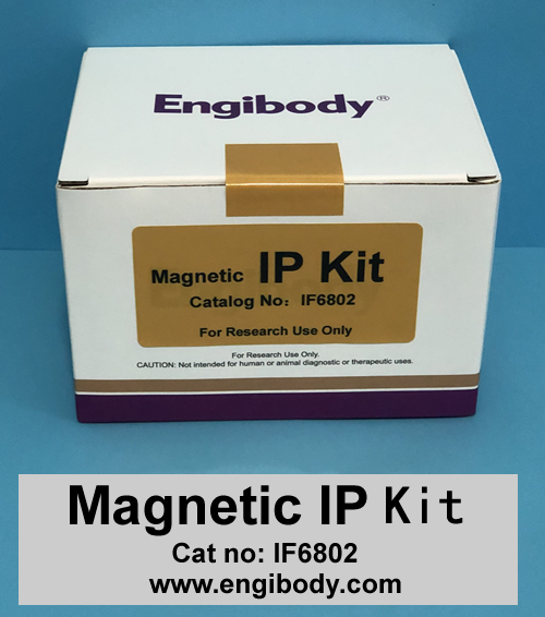 Magnetic IP Kit