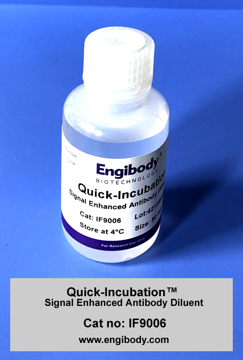 Quick-Incubation Signal Enhanced Antibody Diluent