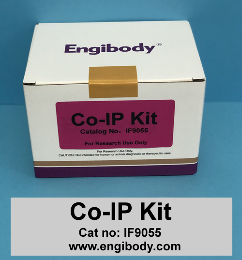 Co-IP Kit