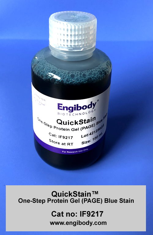 QuickStain One-Step Protein Gel (PAGE) Blue Stain