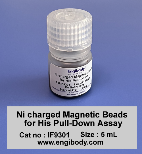 Ni charged Magnetic Beads for His Pull-Down Assay