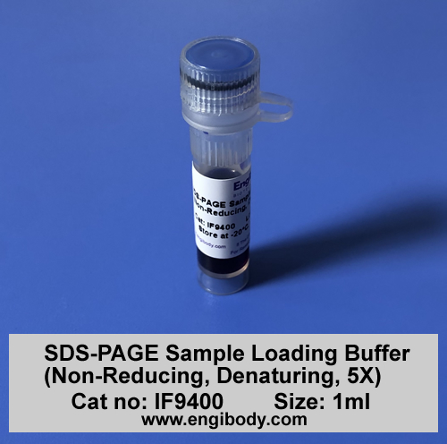 SDS-PAGE Sample Loading Buffer (Non-Reducing, Denaturing, 5X)