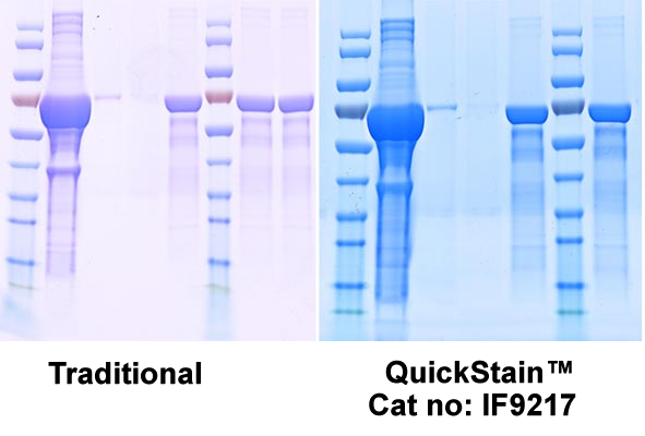 QuickStain™ One-Step Protein Gel (PAGE) Blue Stain