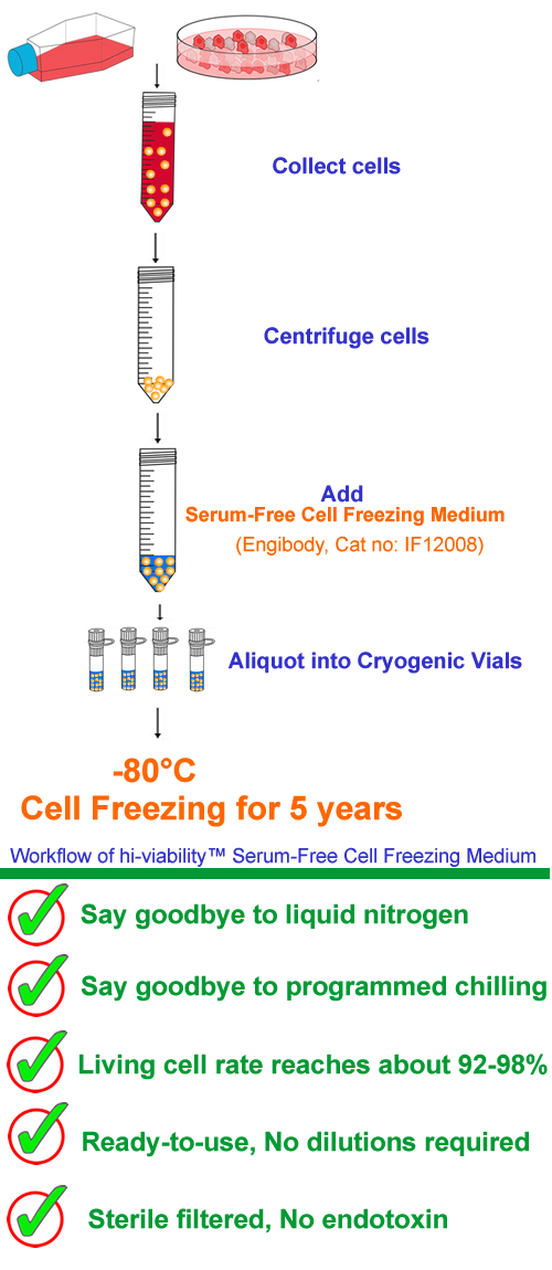 Serum-Free Cell Freezing Medium