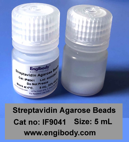 Streptavidin Agarose Beads