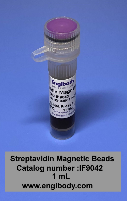 Streptavidin Magnetic Beads