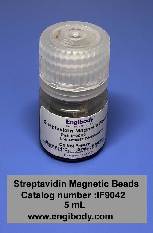 Streptavidin Magnetic Beads