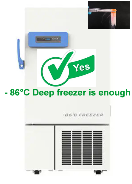 deep freezer